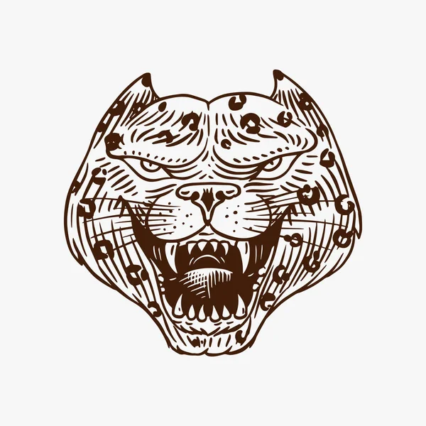 Schreiender verrückter Leopard oder Panther nach Tätowierung oder Etikett. Brüllende Bestie. Tier im Retro-Stil. Gravierte handgezeichnete Linienkunst Vintage alte monochrome Skizze. Vektorillustration. — Stockvektor