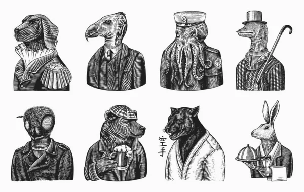 Grizzly Bear with a beer mug. Octopus sailor and Hare or Rabbit waiter. Dog officer and bird. Black panther and Bee biker. Japanese text means: karate. Fashion animal character. Hand drawn sketch. Vector Graphics