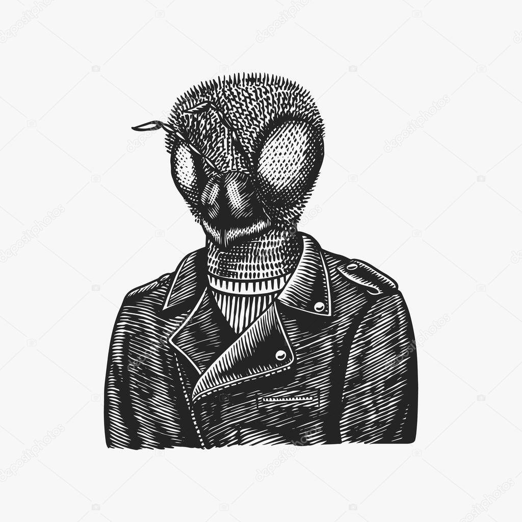 Bee biker. Fly in a leather jacket. Fashion insect character. Hand drawn sketch. Vector engraved illustration for logo, label and tattoo or T-shirts.