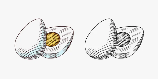 Huevo hervido con proteína y yema para el desayuno. Producto de granja. Dibujo vintage grabado a mano. Estilo Woodcut. Ilustración vectorial para menú o póster. — Vector de stock