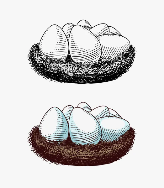 卵の巣だ。農産物。手描きのレトロなヴィンテージスケッチ。木切りスタイル。メニューやポスターやイースターのベクトルイラスト. — ストックベクタ