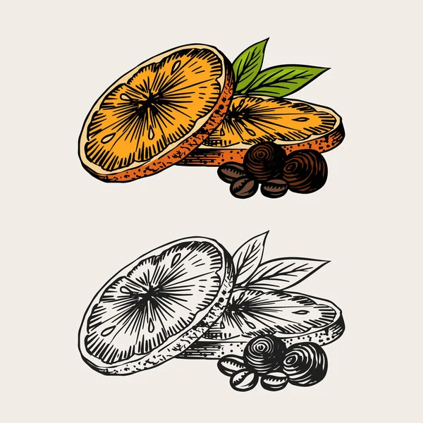 橙片。夏天的水果雕刻的手绘古画草图.木刻风格. — 图库矢量图片