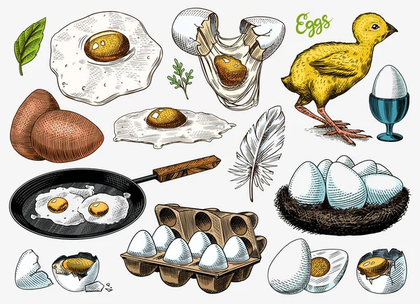 Eieren en kuikens, boerderijproducten, roeromelet, verpakking en nest. Gegraveerde handgetekende vintage schets. Houtsnijstijl. Vector illustratie voor menu of poster. — Stockvector