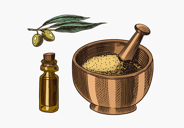 Schüssel mit Wellnesspulver vorhanden. Oliven und eine Flasche Öl. Gravierte handgezeichnete Linie Vintage alte monochrome Skizze. Vektorillustration. — Stockvektor