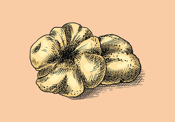 Σήμα ή λογότυπο μανιταριών τρούφες. Χαραγμένο χέρι ζωγραφισμένο vintage σκίτσο. Συστατικό για μαγείρεμα τροφίμων. Στυλ Γούντκατ. Εικονογράφηση διανύσματος. — Διανυσματικό Αρχείο
