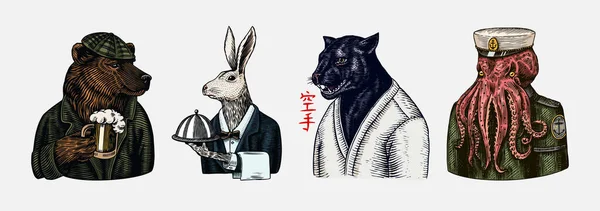 灰熊与啤酒杯。章鱼水手和兔子或兔子侍者。黑豹。日语的意思是空手道。时尚动物的性格。手绘草图. — 图库矢量图片
