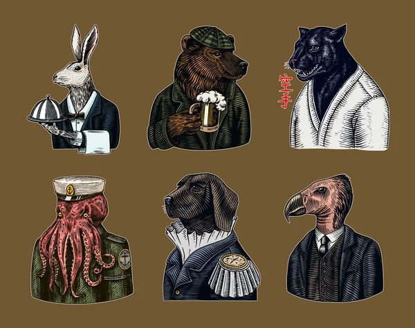Grizzly Bear with a beer mug. Octopus sailor and Hare or Rabbit waiter. Dog officer and bird. Black panther. Japanese text means: karate. Fashion animal character. Hand drawn sketch. Vector Graphics