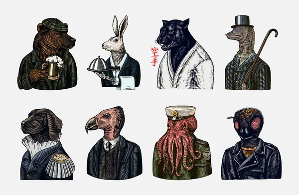 Grizzly Bear with a beer mug. Octopus sailor and Hare or Rabbit waiter. Dog officer and bird. Black panther and Bee biker. Japanese text means: karate. Fashion animal character. Hand drawn sketch. Royalty Free Stock Vectors