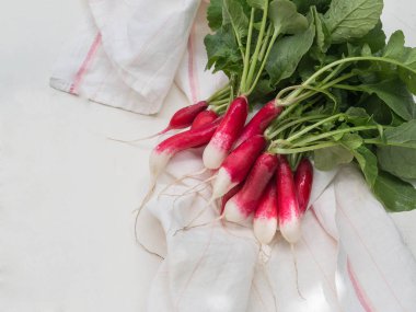 Taze hasat, mor ve beyaz renkli turp bahçe beyaz ahşap tablo. Büyüyen turp. Sezon sebze.