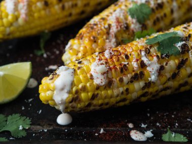 Mısır koçanı sos, kişniş, kireç, kırmızı biber ve peynir ile kızarmış. Meksika yemeği. Kopya alanı