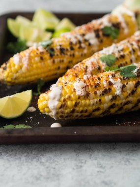 Mısır koçanı sos, kişniş, kireç, kırmızı biber ve peynir ile kızarmış. Meksika yemeği. Kopya alanı