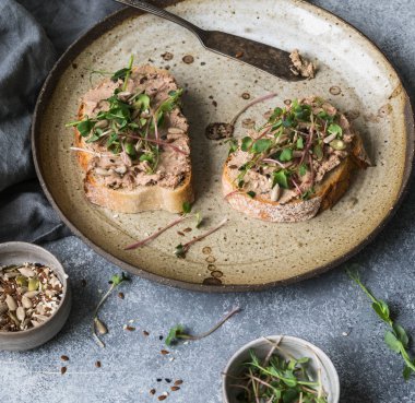 Kuru Erik rillettes pate lahanası ile beyaz ekmek üzerinde ve gri arka plan üzerinde vintage bir plaka üzerinde çeşitli tohum ile iki tost ördek.
