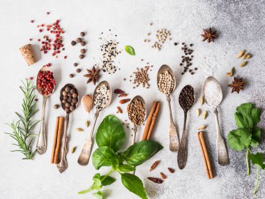 Vintage kaşık ve gri arka plan üzerinde taze otlar içinde çeşitli baharatlar. Çeşitli baharatlar ve otlar düz set koymak.