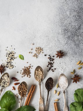 Vintage kaşık ve gri arka plan üzerinde taze otlar içinde çeşitli baharatlar. Çeşitli baharatlar ve otlar düz yatıyordu. kopya alanı