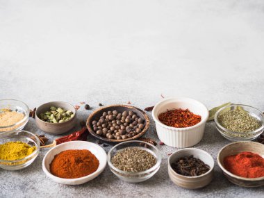 Çeşitli baharatlar gri arka plan üzerinde küçük kase kuru. kopya alanı