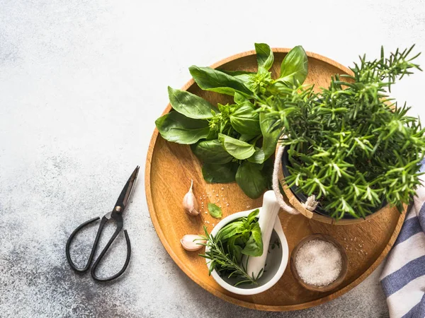 Fresh rosemary bush in wooden pots, twigs of fresh green basil, white mortar with pestle, salt and garlic on a round wooden tray on a gray background. — Stock Photo, Image