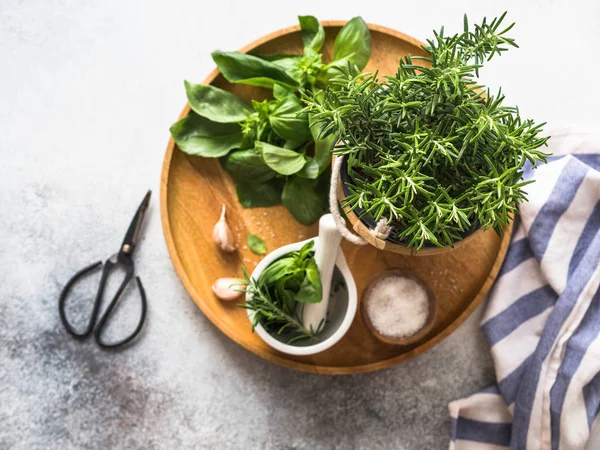 Fresh rosemary bush in wooden pots, twigs of fresh green basil, white mortar with pestle, salt and garlic on a round wooden tray on a gray background. Top view. — Stock Photo, Image