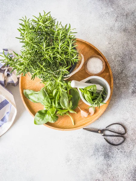 Fresh rosemary bush in wooden pots, twigs of fresh green basil, white mortar with pestle, salt and garlic on a round wooden tray on a gray background. — Stock Photo, Image