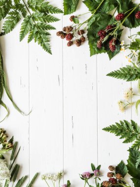 Böğürtlen, papatya, ıhlamur çiçeği, ahşap arka plan üzerinde yonca Botanik çerçeve. Rustik beyaz arka plan üst görünümünde taze yabani otlar ve çiçeklerdüz yatıyordu kompozisyon