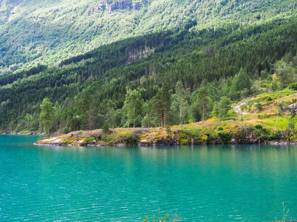 Costa noruega norte Lago Lovatnet con agua verde azul y montañas cubiertas de bosques y otras plantas — Foto de Stock