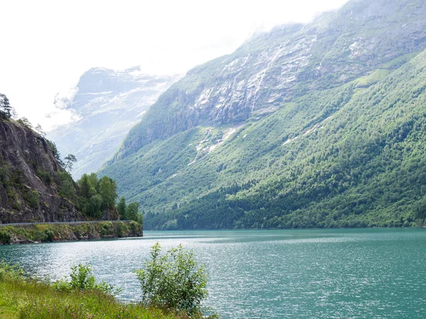 Costa noruega norte Lago Lovatnet con agua verde azul y montañas cubiertas de bosques y otras plantas — Foto de Stock