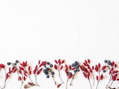 Mavi ve kırmızı Meyveler ve yapraklar kenarlık beyaz arka plan ve metin için açık alan izole. Botanik arka plan. Üstte görüntü