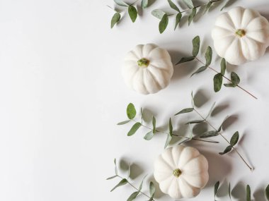 Beyaz bir arka plan üzerinde kabak ve okaliptüs Çiçek sonbahar kompozisyon. Kopyalama alanı