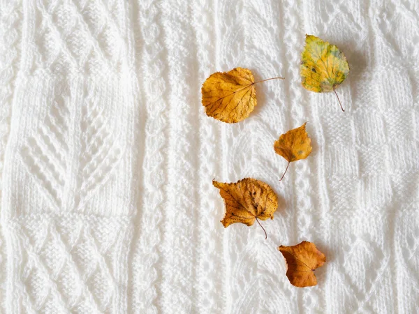 Feuilles jaunes sèches sur carreaux légers tricotés chauds. Composition automnale sur fond blanc — Photo