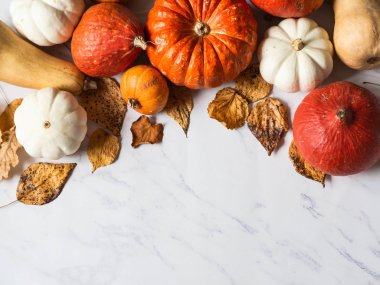 Kabakların çeşitli boyut ve renklerde sınırı ve mermer bir zemin üzerinde farklı kuru sonbahar yaprakları. Boşluğu kopyala