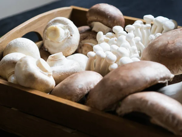 Varios tipos de hongos crudos - hongos Portobello, eringi, champiñones, hongos Shimeji en bandeja de madera — Foto de Stock