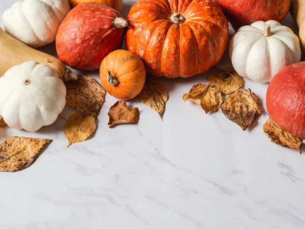 Kabakların çeşitli boyut ve renklerde sınırı ve mermer bir zemin üzerinde farklı kuru sonbahar yaprakları. Boşluğu kopyala