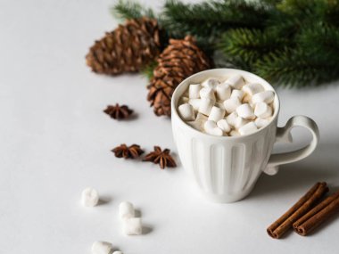 Baharatlı, marşmelovlu beyaz kupa ve beyaz arka planda köknar dalı. Boşluğu kopyala
