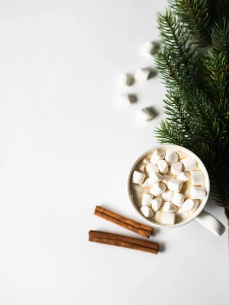 Weißer Becher mit Kakao mit Gewürzen und Marshmallows und Tannenzweig auf weißem Hintergrund. Ansicht von oben. Kopierraum — Stockfoto