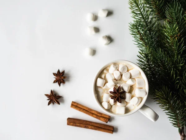 Weißer Becher mit Kakao mit Gewürzen und Marshmallows und Tannenzweig auf weißem Hintergrund. Ansicht von oben. Kopierraum — Stockfoto