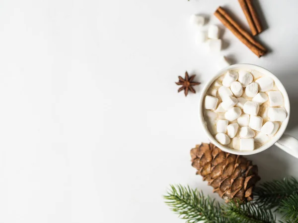 Weißer Becher mit Kakao mit Gewürzen und Marshmallows und Tannenzweig auf weißem Hintergrund. Ansicht von oben. Kopierraum — Stockfoto