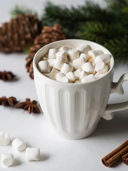 Weißer Becher mit Kakao mit Gewürzen und Marshmallows und Tannenzweig auf weißem Hintergrund. — Stockfoto
