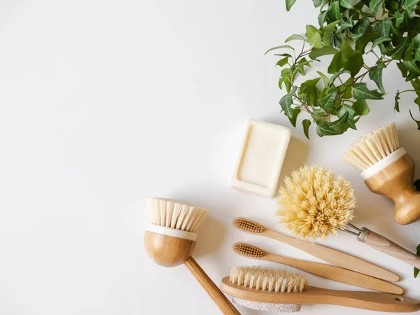 Bulaşık fırçaları, bambu diş fırçaları ve yeşil saksı. Sürdürülebilir yaşam tarzı sıfır atık kavramı. Atık bırakmadan temizlik. Plastik nesne yok.