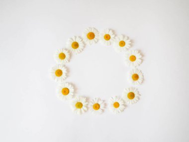 Bahar ve yaz çiçekleri bembeyaz arkaplanda yuvarlak bir çerçeve oluşturuyordu. Daisy deseni. Üst görünüm