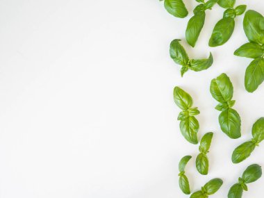 Fesleğen deseni beyaz arkaplanda izole edildi. Fesleğen yapraklarından yapılmış çerçeve. Düz yatış, üst görünüm