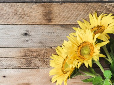 Düz sarı ayçiçeği çiçekleri ahşap kırsal arka planda yatıyordu. Üst Manzara. Doğa, bahar ve yaz konsepti. Boşluğu kopyala