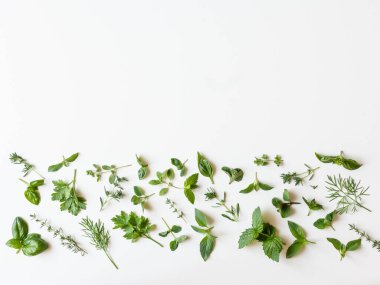 Çeşitli taze yeşil mutfaklı otlar. Maydanoz, nane, dereotu, fesleğen, kekik, beyaz arka plan, üst manzara. Bahar ya da yaz sağlıklı vejetaryen yemek konsepti. Boşluğu kopyala