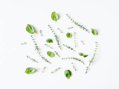 Fesleğen ve kekik deseni beyaz bir arkaplanda izole edilmiş. Düz yeşil yapraklar. Boşluğu kopyala, üst görünüm