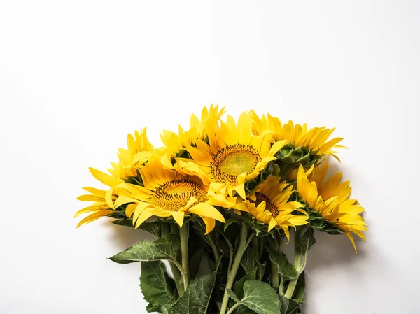 yellow sunflower top