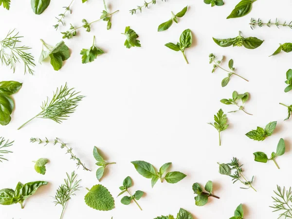 Flat Lay Olika Färska Gröna Köksörter Persilja Mynta Dill Basilika — Stockfoto