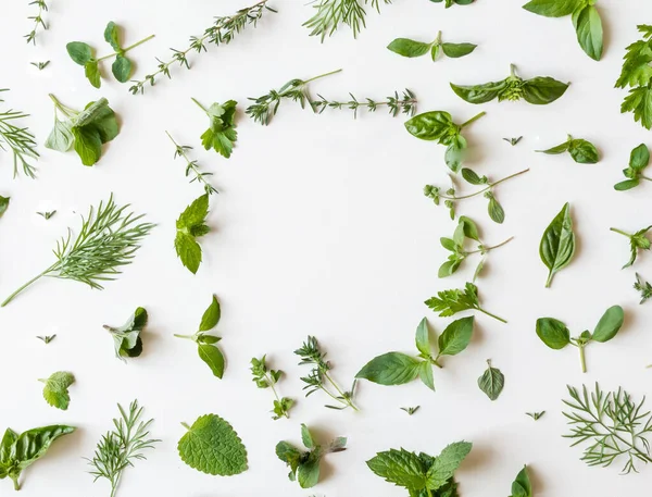 Flat Lay Olika Färska Gröna Köksörter Persilja Mynta Dill Basilika — Stockfoto