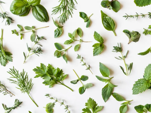 Flat Lay Various Fresh Green Kitchen Herbs Parsley Mint Dill — Stock Photo, Image