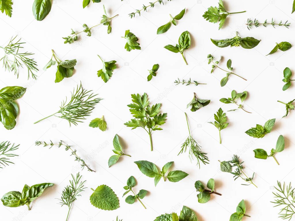 Flat-lay of various fresh green kitchen herbs. Parsley, mint, dill, basil, marjoram, thyme on white background, top view. Spring or summer healthy vegan cooking concept