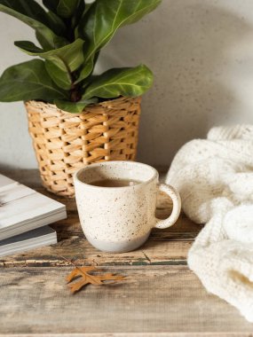 Rahat bir ev bitkisi, içkili bir kupa, örülmüş bir battaniye ve ahşap bir masada dergiler. Boşluğu kopyala