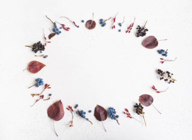 Beyaz doku arka planında izole edilmiş çeşitli meyve yaprakları ve yaprak çerçeveleri ve metin için açık alan. Botanik geçmişi. Üst Manzara. Düz yatıyordu