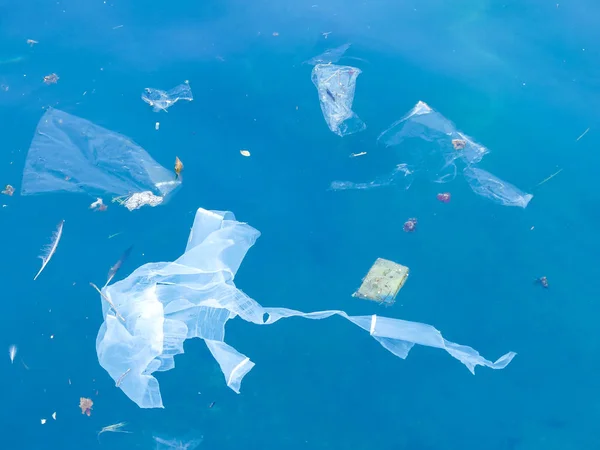 Plastik kirliliği denizde yüzen
